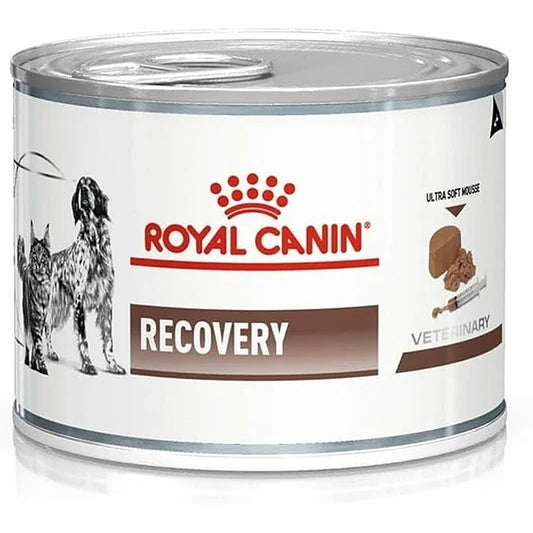 Royal Canin Recovery Bacon Liquid Can for Dogs and Cats, 195 g All Life Stages