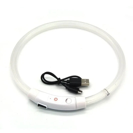 LED Light Up Dog usb Rechargearble