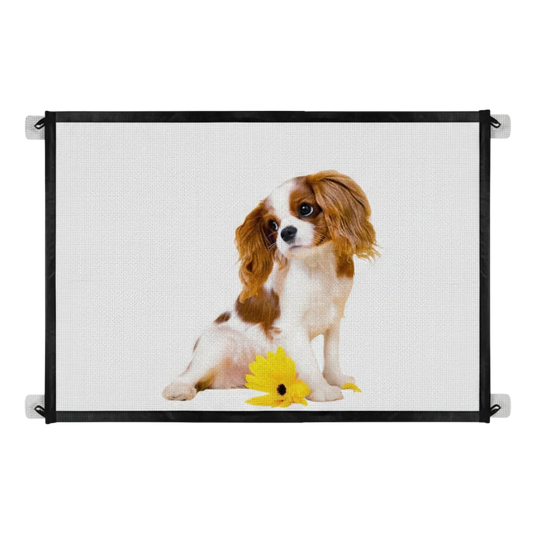 Safe portable folding pet gate